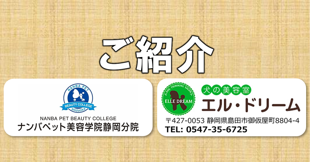 Read more about the article 　🐶ナンパペット美容学院静岡分院さん、犬の美容室エル・ドリームさん🐱