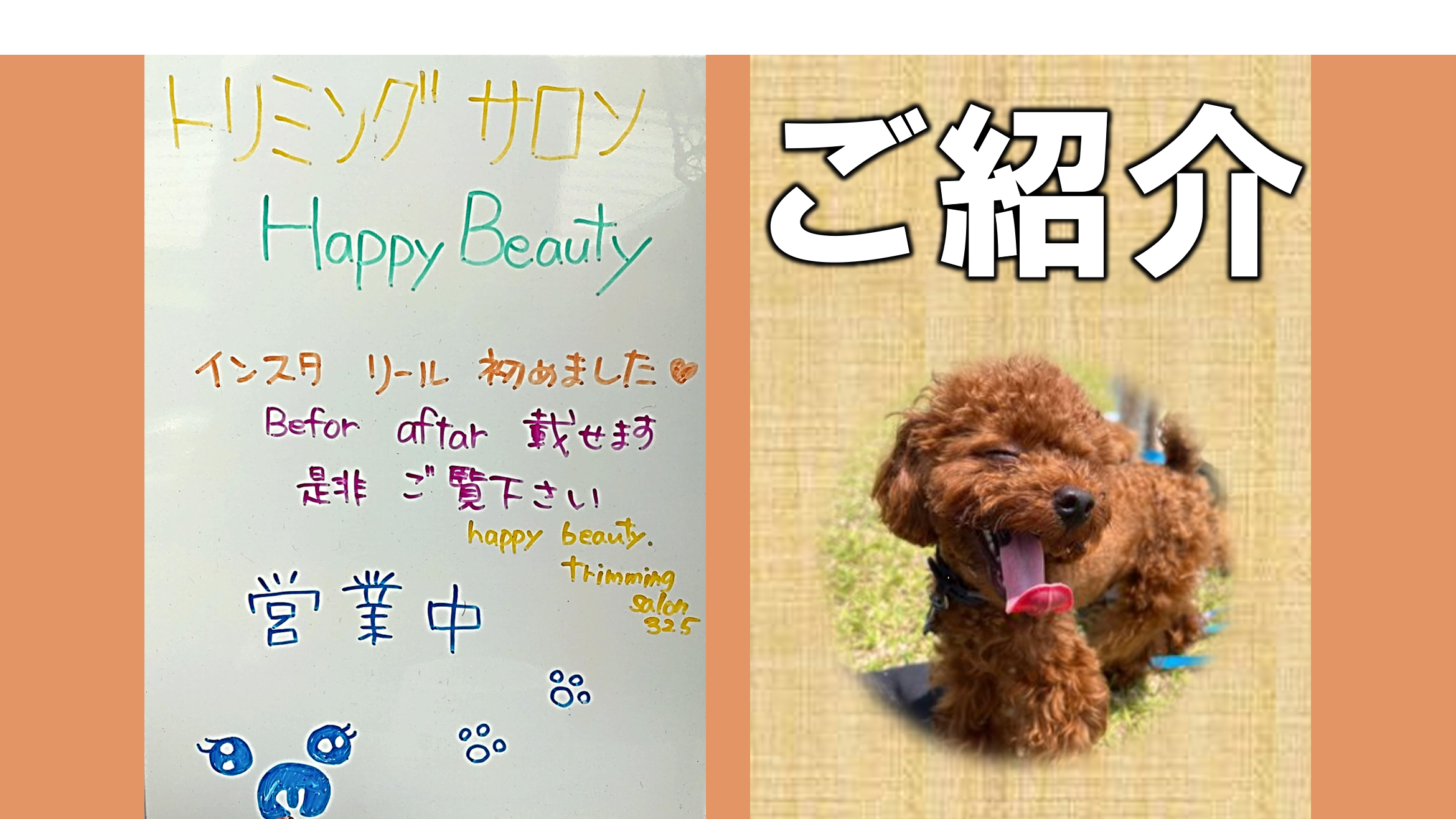 You are currently viewing 　🐶トリミングサロン HappyBeautyさん🐶