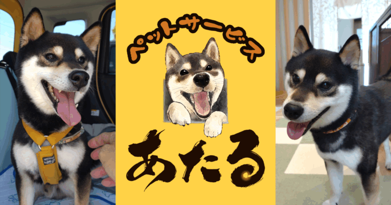 投稿についてもっと詳しく ✨️感謝✨️お客様登録数３００